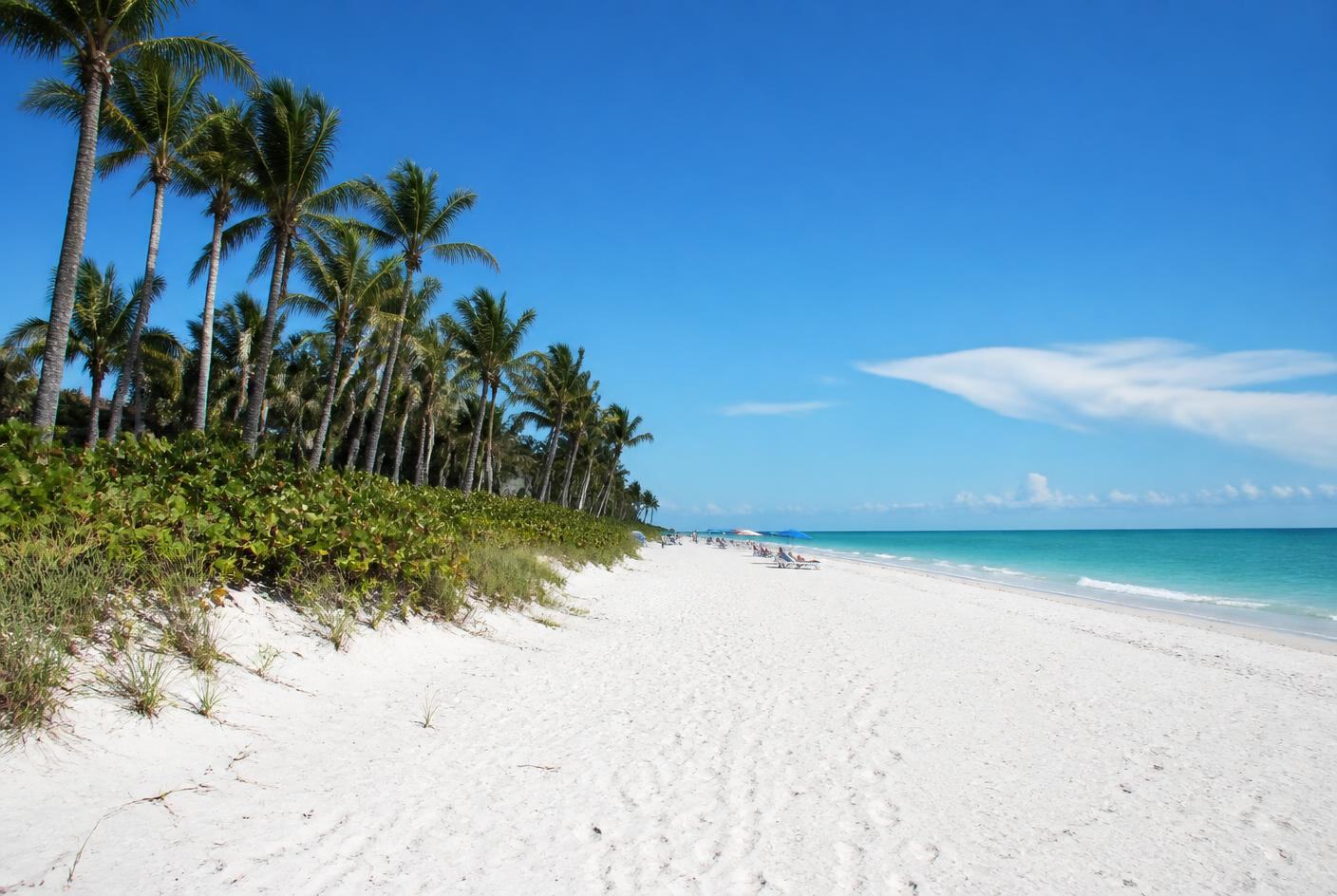 Wide white sand Naples beach lined with palms beside calm turquoise Gulf water